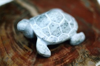 Tortue