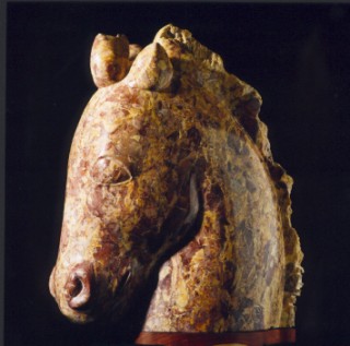 Tte de Cheval