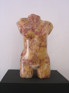 Torse